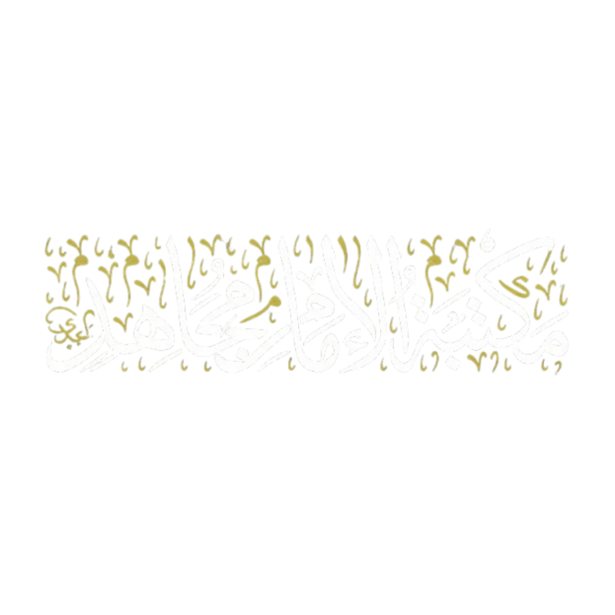 مكتبة الإمام مجاهد